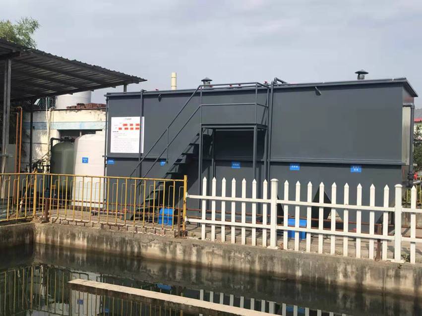 image009.jpeg image009.jpeg